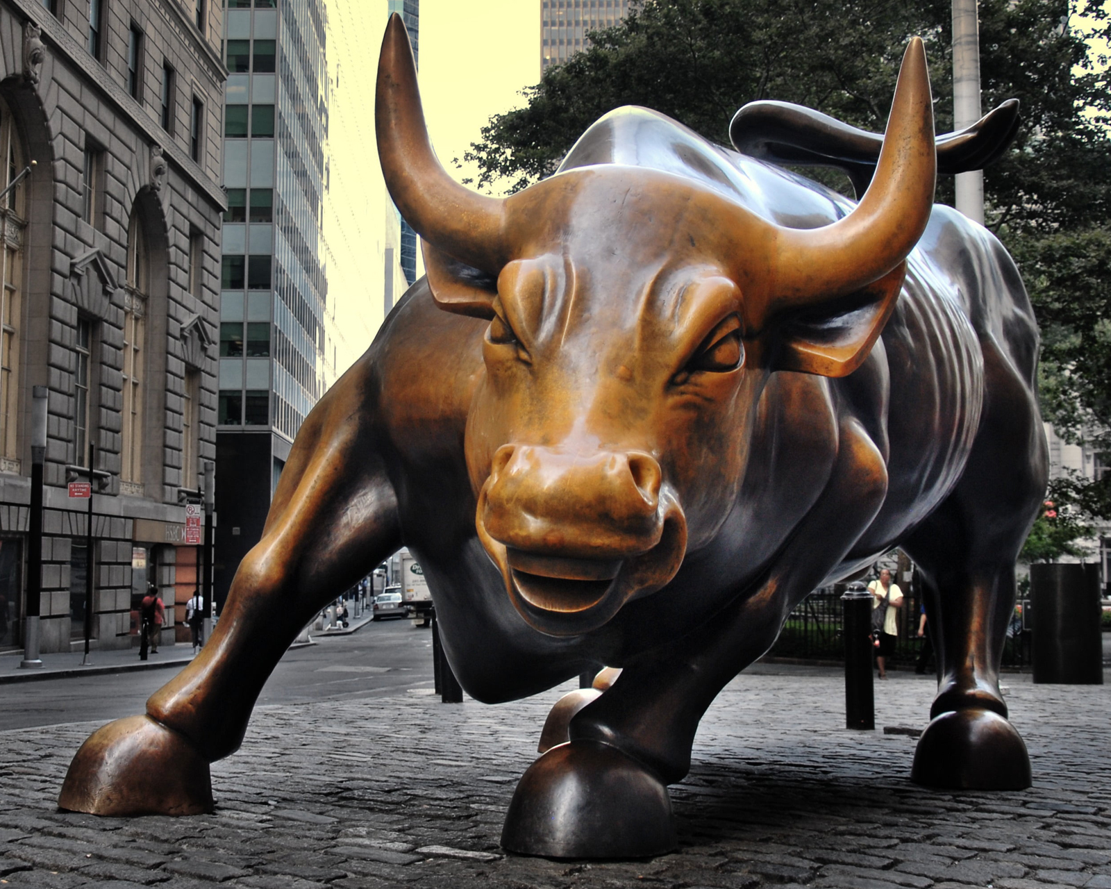 Charging Bull Website